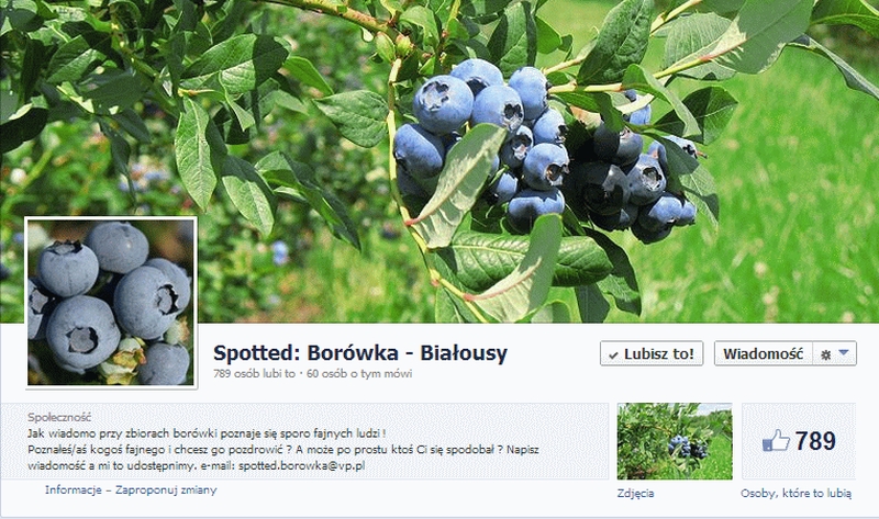 Zrzut ekranowy profilu Spotted: Borówka - Białousy