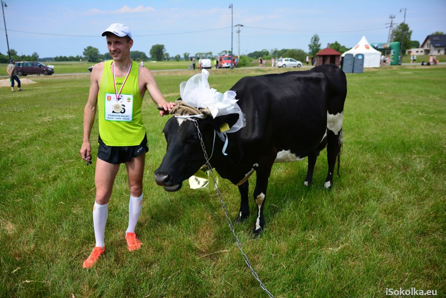 Półmaraton Mleczny 2016 w Korycinie. Do wygrania będzie żywa krowa (iSokolka.eu)